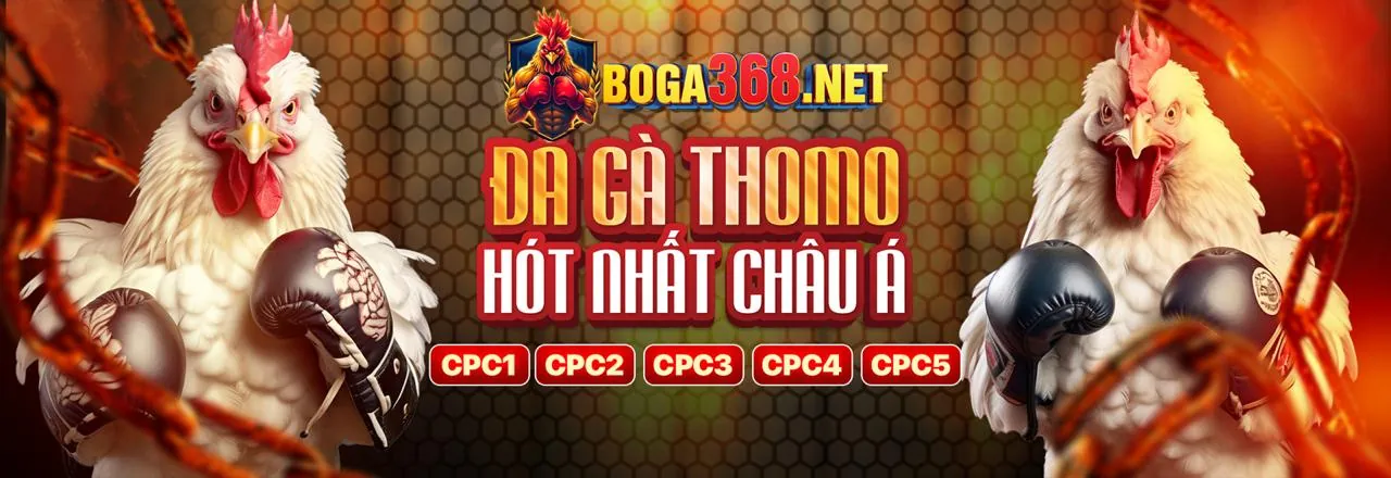 Các chương trình khuyến mãi msk88 và phần thưởng hấp dẫn