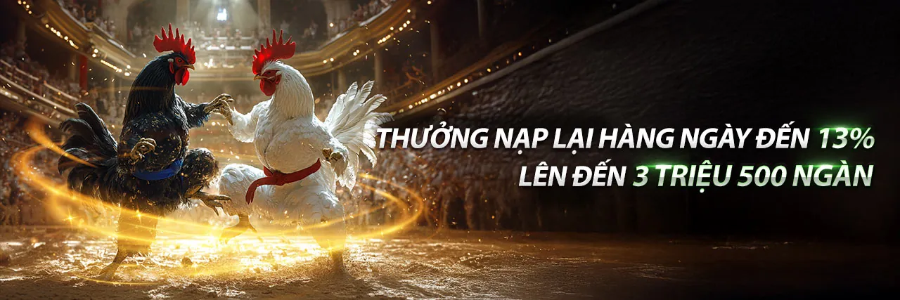 Chương trình VIP msk88 với các ưu đãi độc quyền và trải nghiệm cá cược cao cấp
