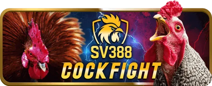 Người dùng đang chơi game msk88 trên điện thoại